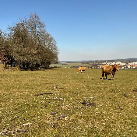 Lejlighed Naxaruv Dvur Horažďovice