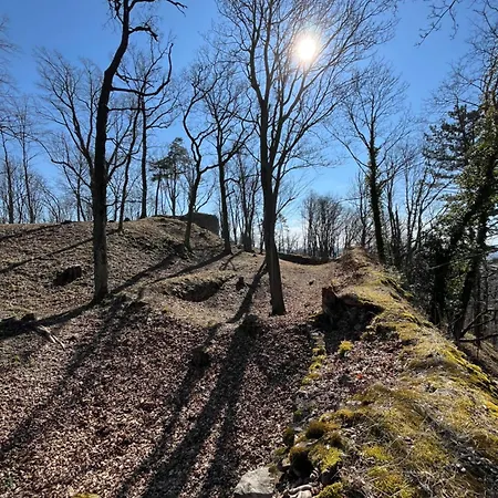 Naxaruv Dvur * Horažďovice