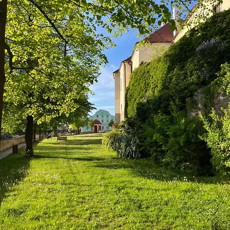 Naxaruv Dvur Apartment *