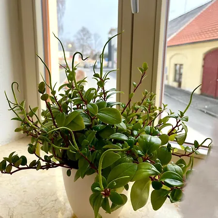 Naxeruv Dvur * Horažďovice